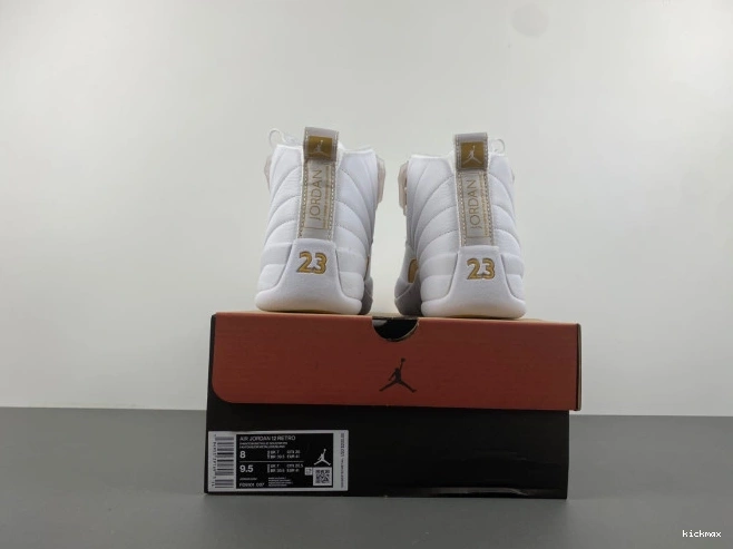 Cheap MAX 12 FD9101-007 Air Jordan WMNS Phantom 0731